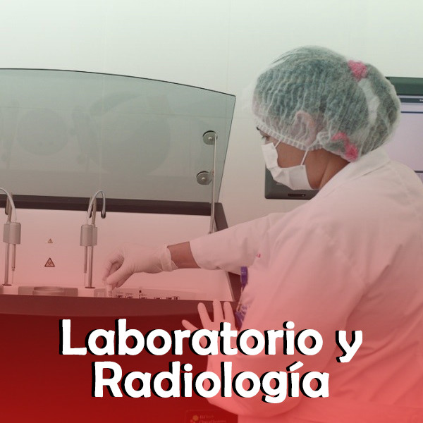 Servicios de Apoyo